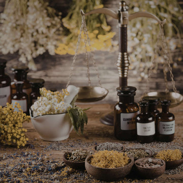 Beginner’s Guide to Magical Herbs