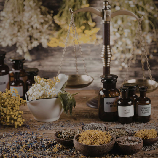 Beginner’s Guide to Magical Herbs