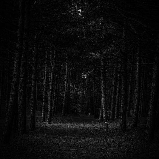 The Darkening Path Reading