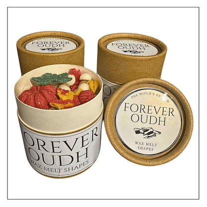 Large Wax Melt Shape Pots - The Witch’s Hearth Ltd